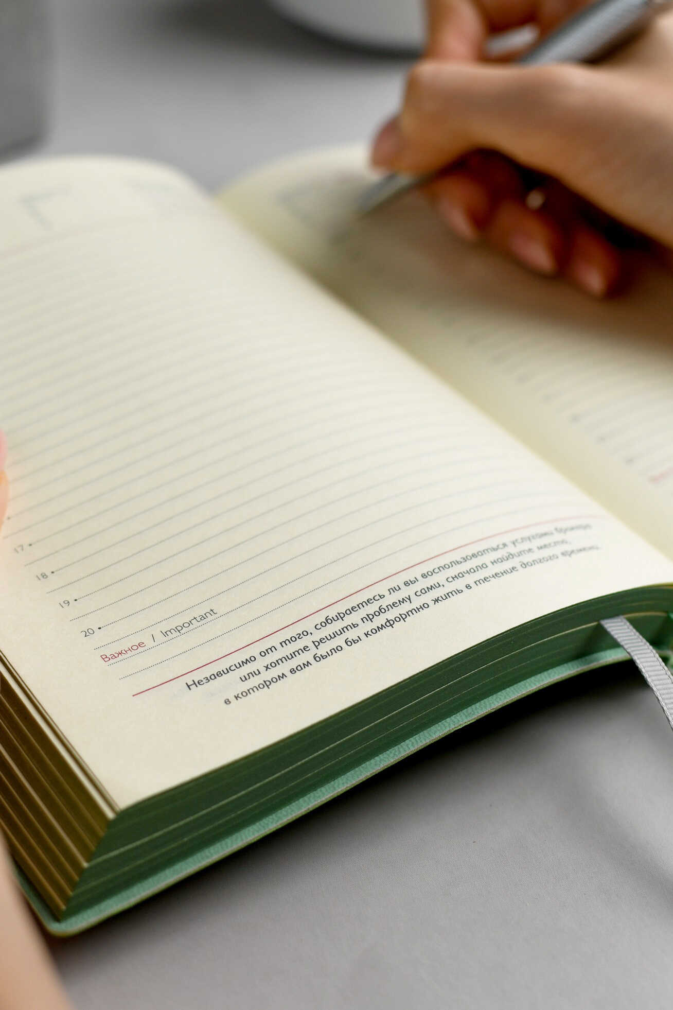 Ежедневник Феникс + ESCALADA 176 лист. - фото 22