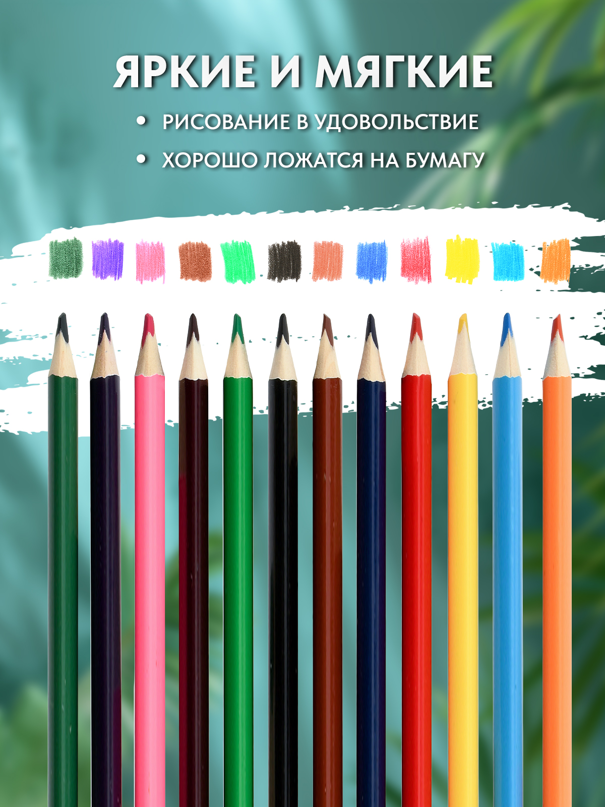 Карандаши цветные SCHOOLFORMAT 12 шт. - фото 3