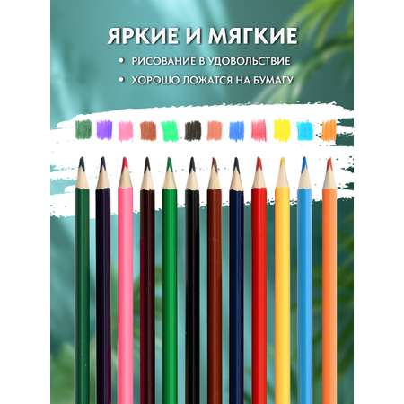 Карандаши цветные SCHOOLFORMAT 12 шт.