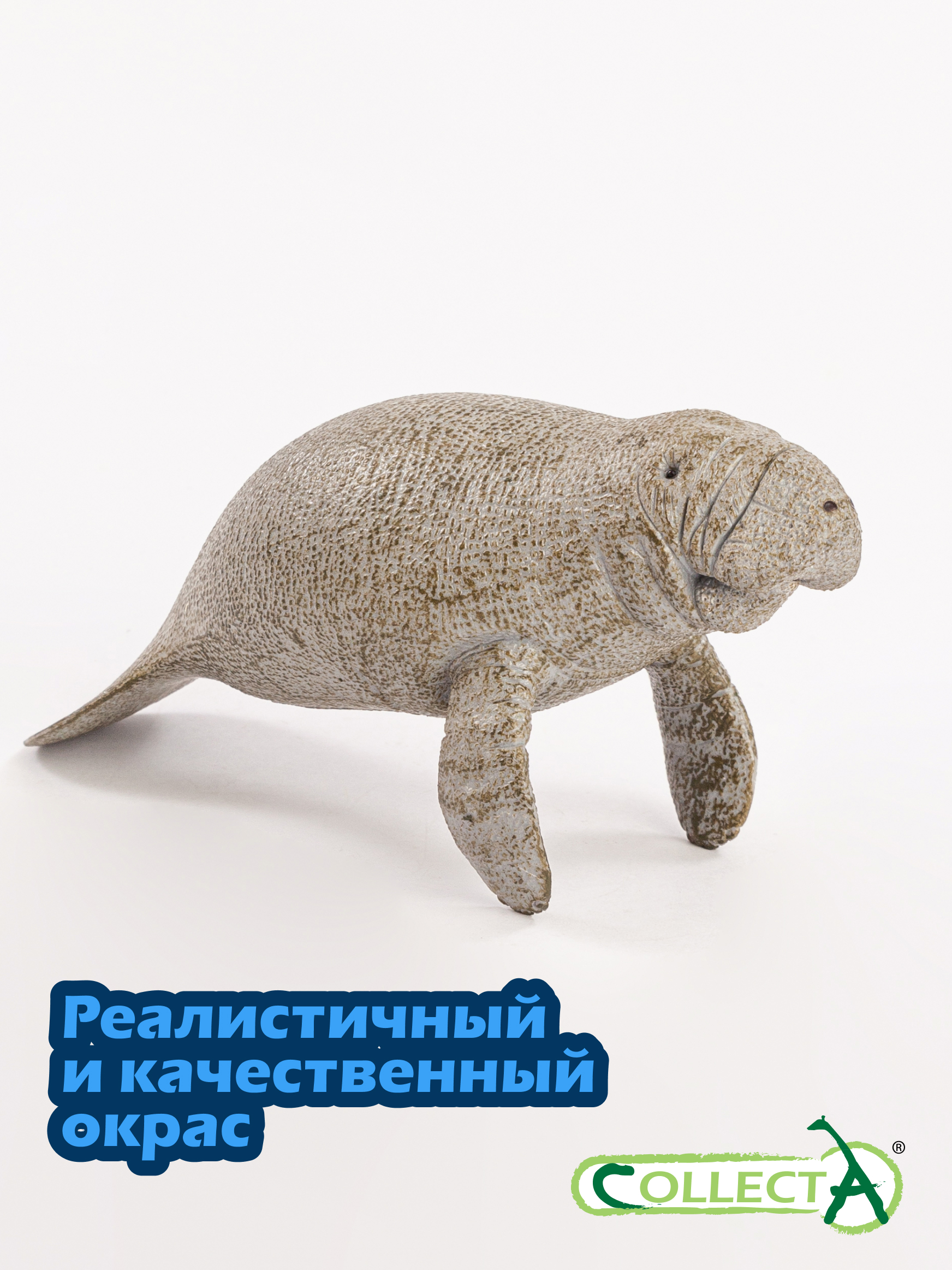 Фигурка Collecta Ламантин - фото 4