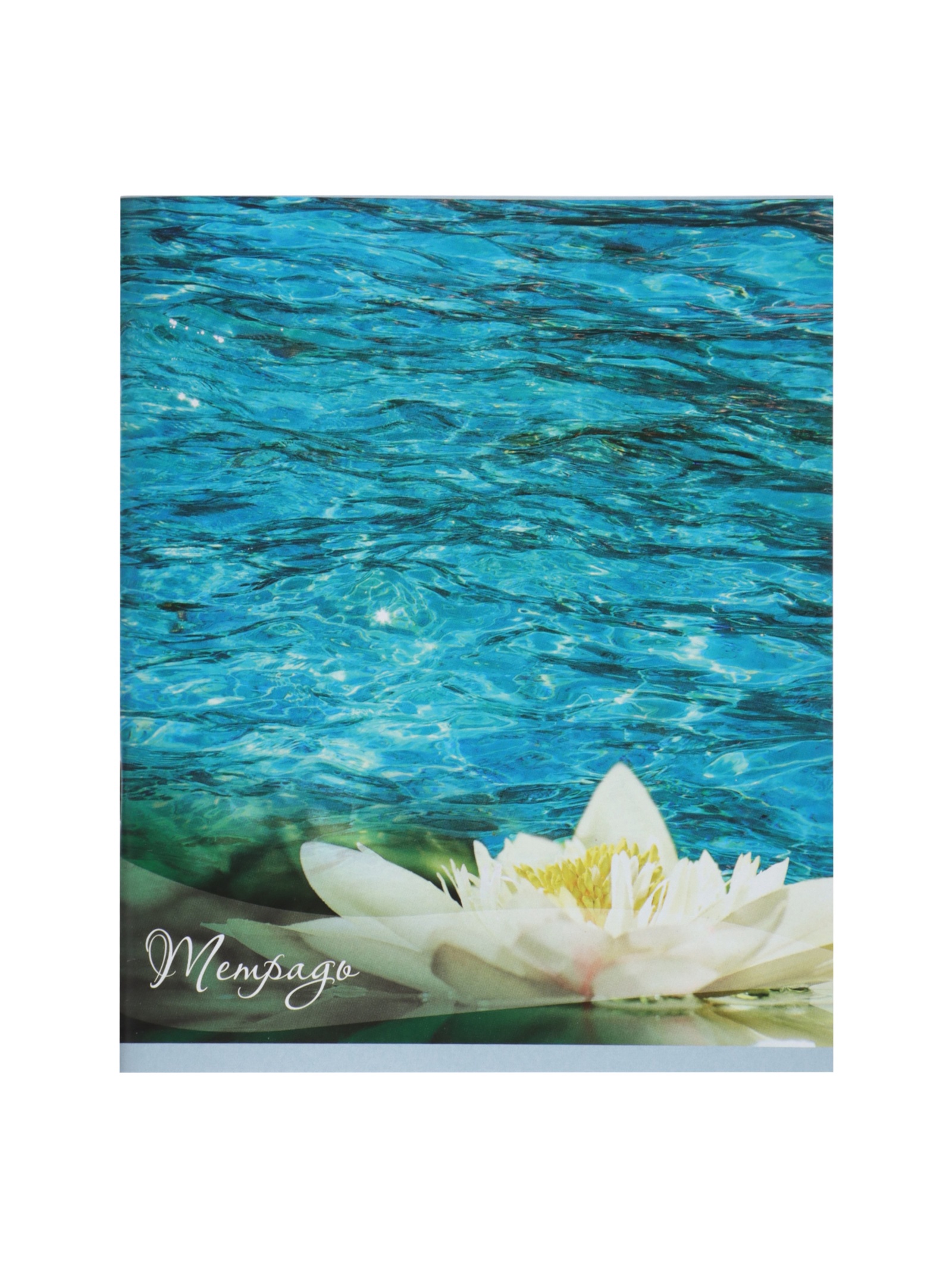 Тетрадь Calligrata клетка - фото 6