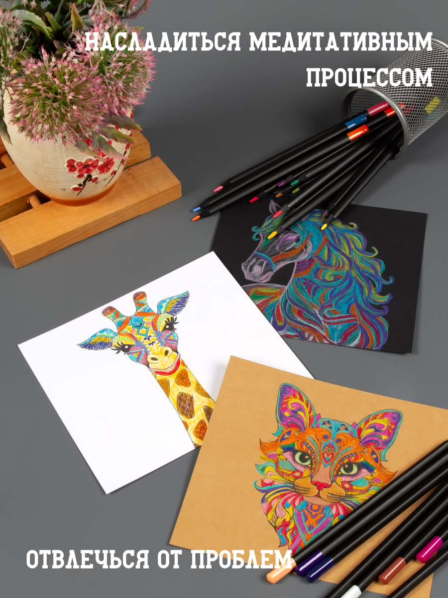 Раскраска для взрослых антистресс AXLER набор для раскрашивания и арт терапии мандалы 20 шт и карандаши 24 цв - фото 16