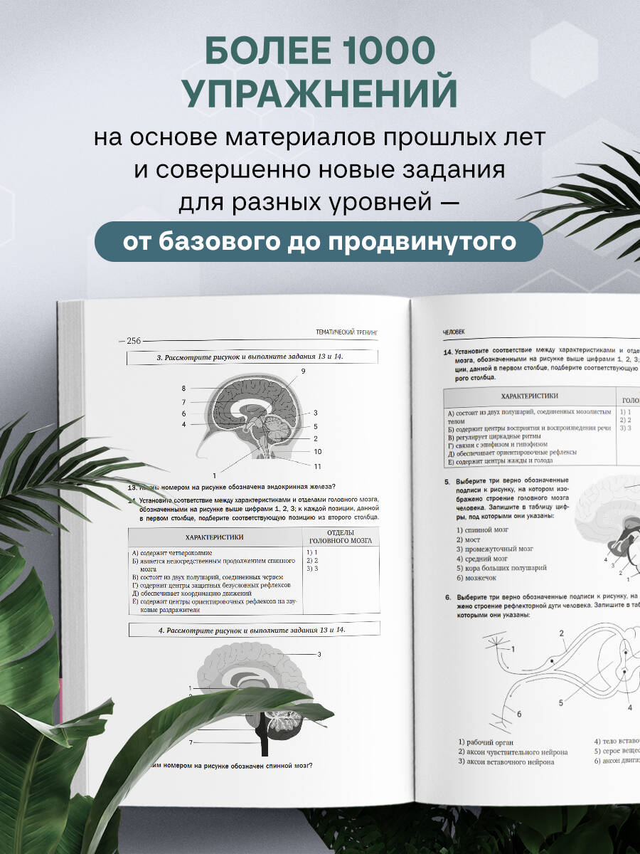 Книга Эксмо ЕГЭ по биологии. Тематический тренинг - фото 2