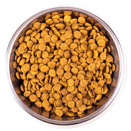 Корм для кошек Monge 10кг Cat Speciality Line Monoprotein Sterilised для стерилизованных из форели