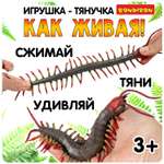 Игрушка-антистресс Bondibon Сколопендра