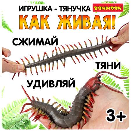 Тянучка Bondibon Сколопендра