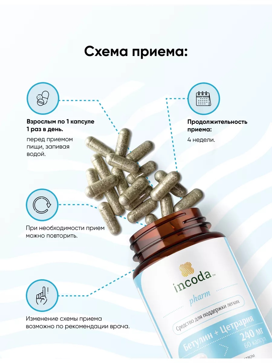 Бетулин Цетрария Incoda исландский мох от кашля, противовирусное - фото 4