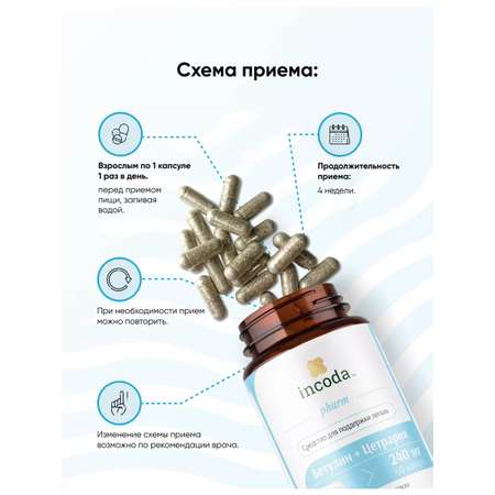Бетулин Цетрария Incoda исландский мох от кашля, противовирусное