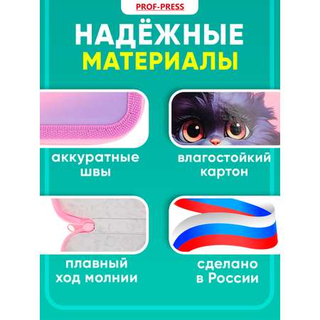 Пенал книжка Prof-Press