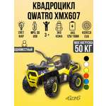 Электромобиль TOYLAND Квадроцикл 4х4 ХМХ607 С пультом ДУ