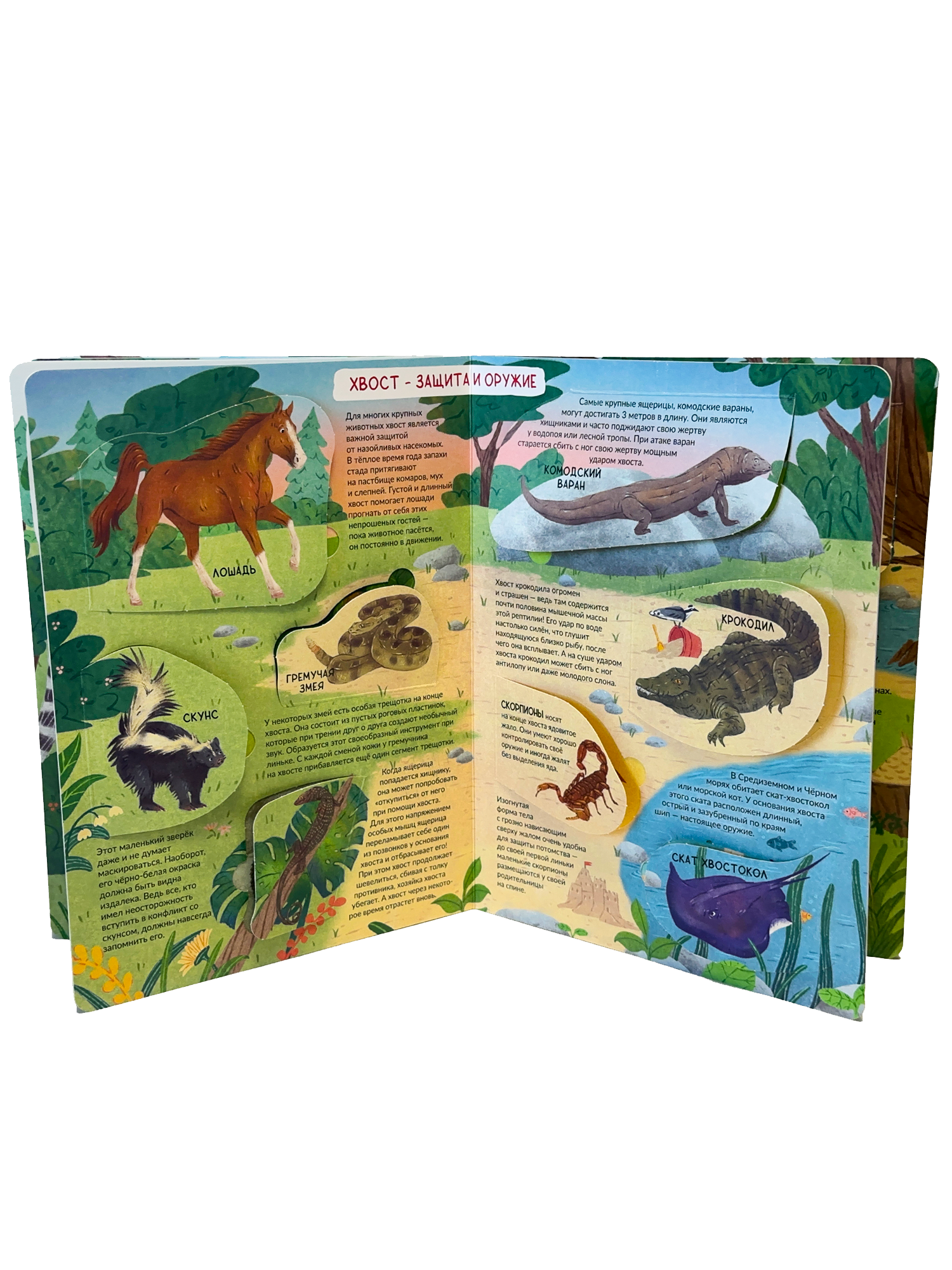 Энциклопедия с окошками БимБиМон Книга детская энциклопедия с окошками Виммельбух - фото 10