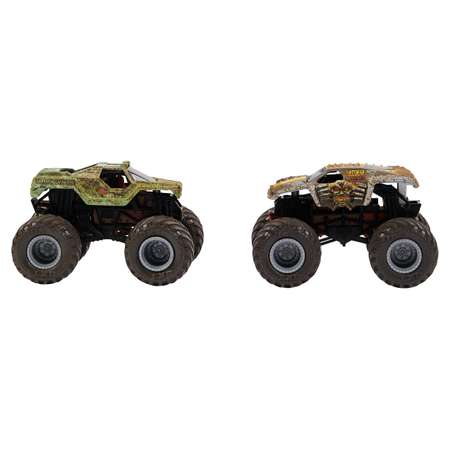 Внедорожник Monster Jam Fortune 1:64