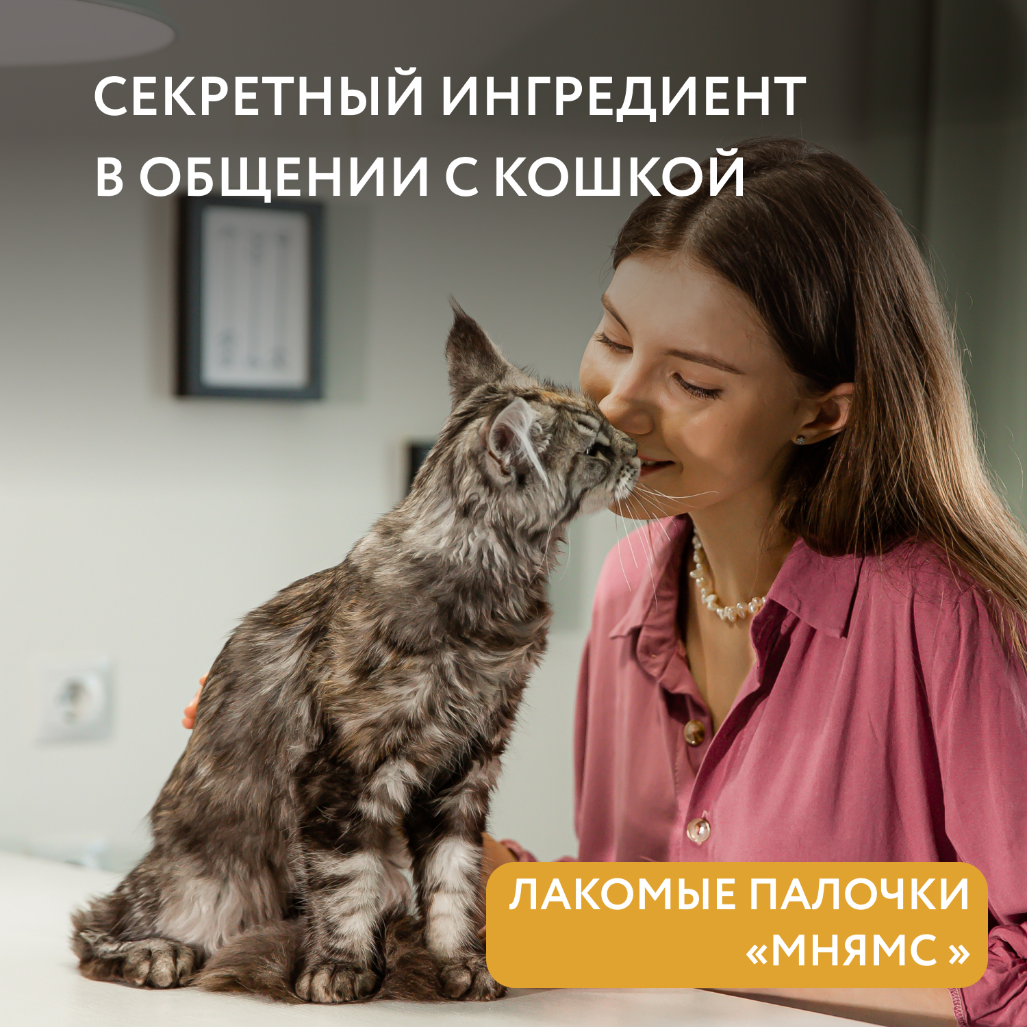 Лакомство для кошек Мнямс лакомые палочки из цыпленка и печени 10*5г - фото 6