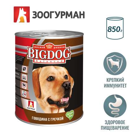 Корм для собак Зоогурман Big Dog 850г говядина с гречкой