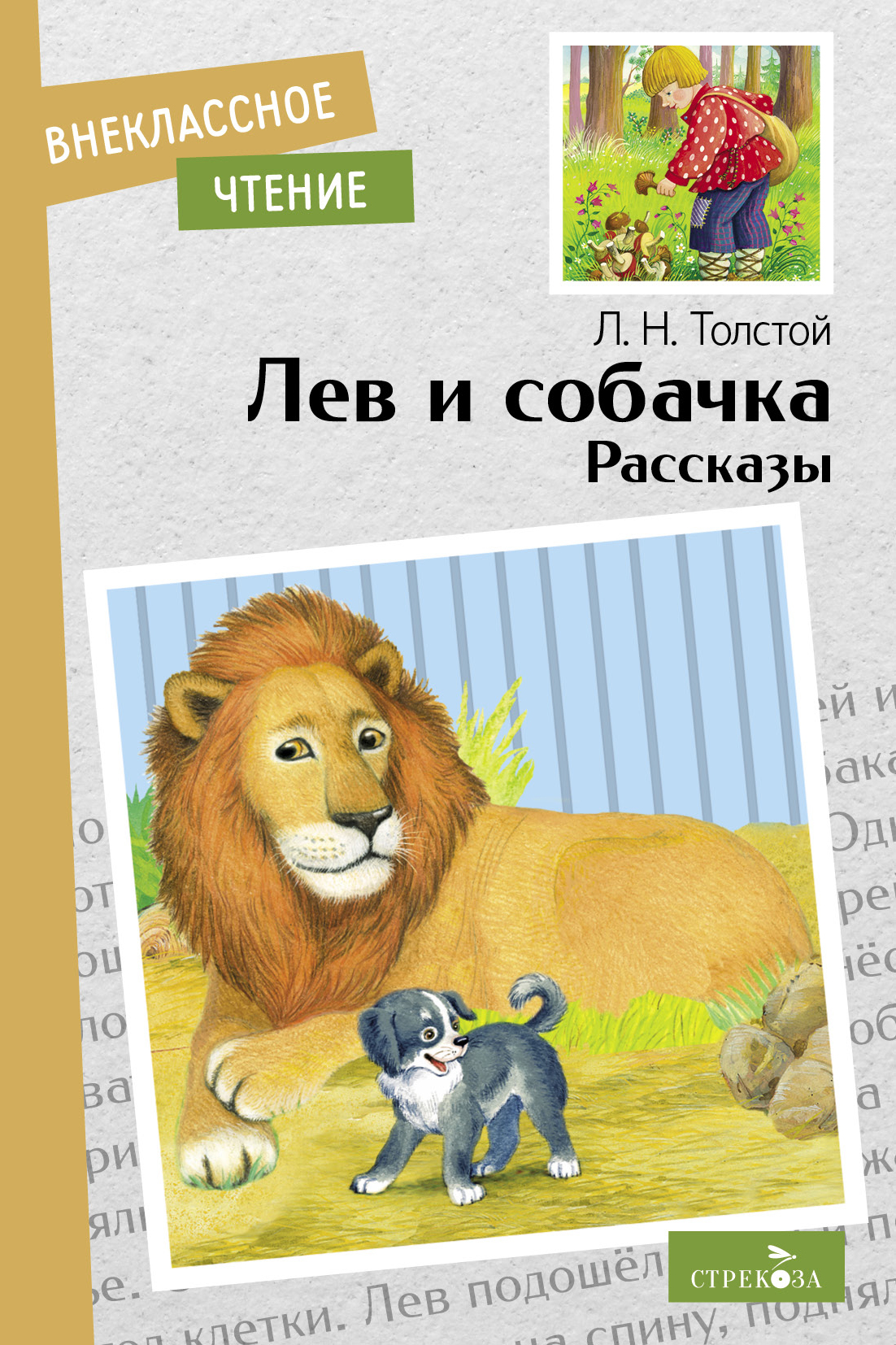Книга СТРЕКОЗА Внеклассное чтение - фото 1