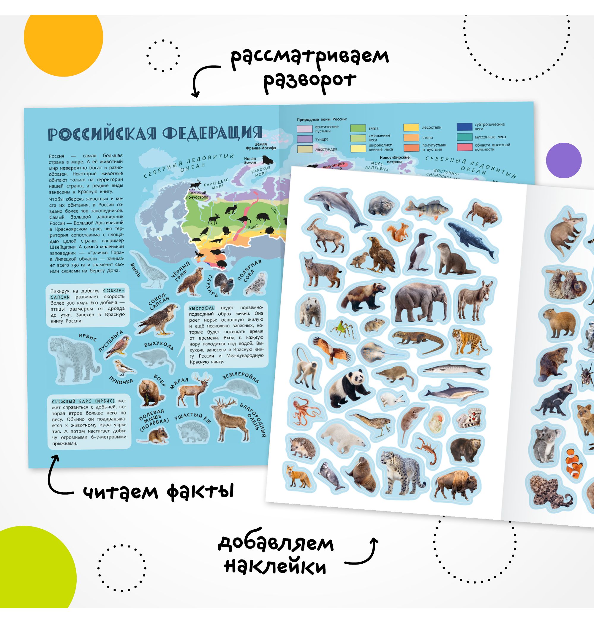 Книга МОЗАИКА kids Атлас мира с наклейками Животные - фото 2
