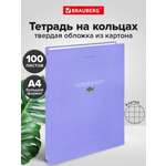 Тетрадь со сменным блоком Brauberg клетка