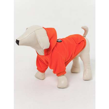 Толстовка для собак PIFPAF DOG