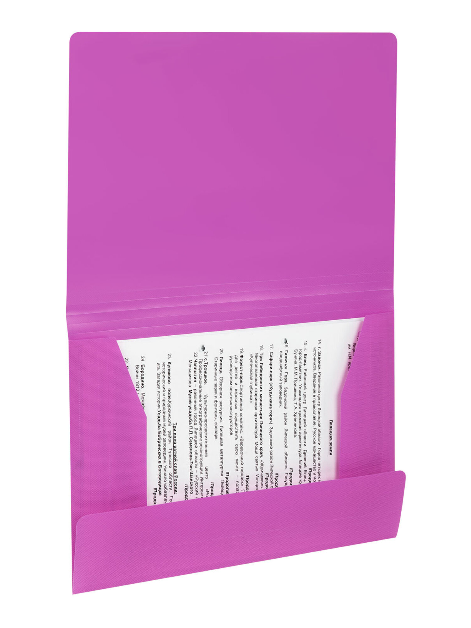 Папка для тетрадей Brauberg на резинках А4 - фото 9