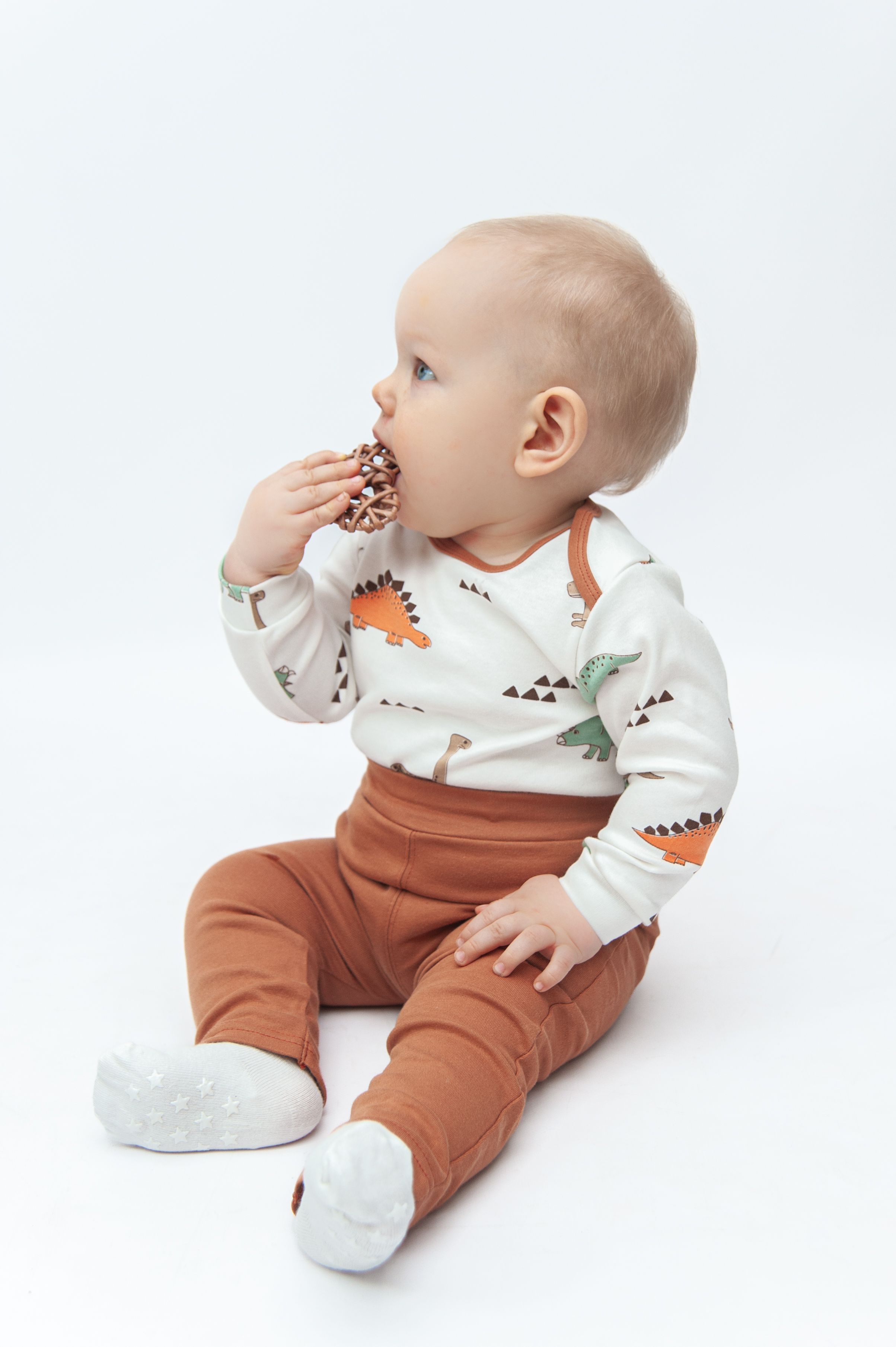 Комплект ЯРКО 05060 ИК Дино/терракот - фото 2