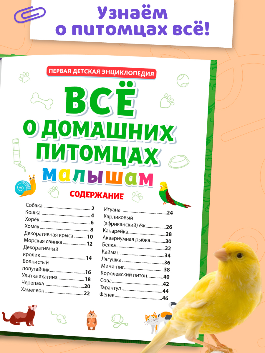 Книга Проф-Пресс Первая детская энциклопедия Всё о домашних питомцах малышам - фото 3