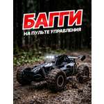 Багги РУ NEEDCARS