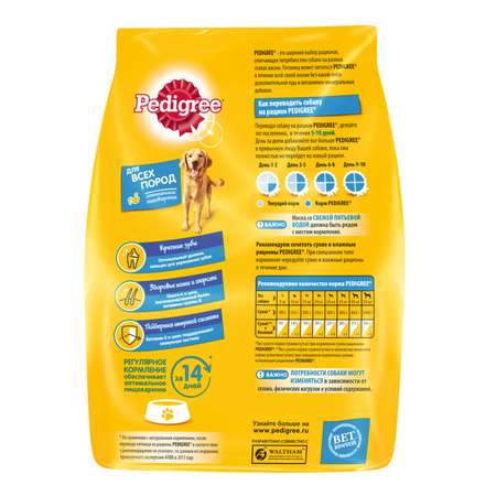 Корм для собак Pedigree с говядиной сухой 600г