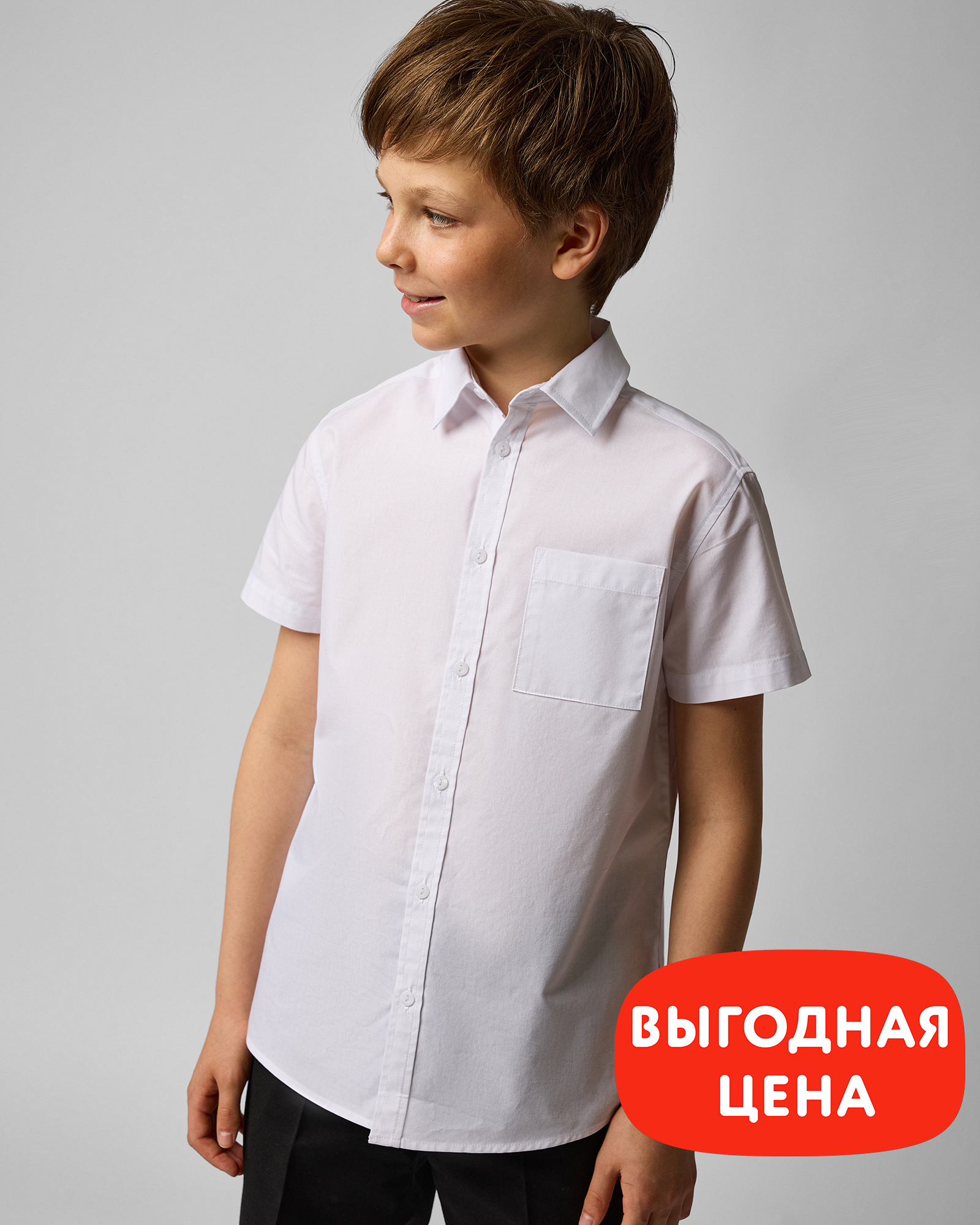 Рубашка Chessford B24CH2SCB2001S1tbL2 - фото 1