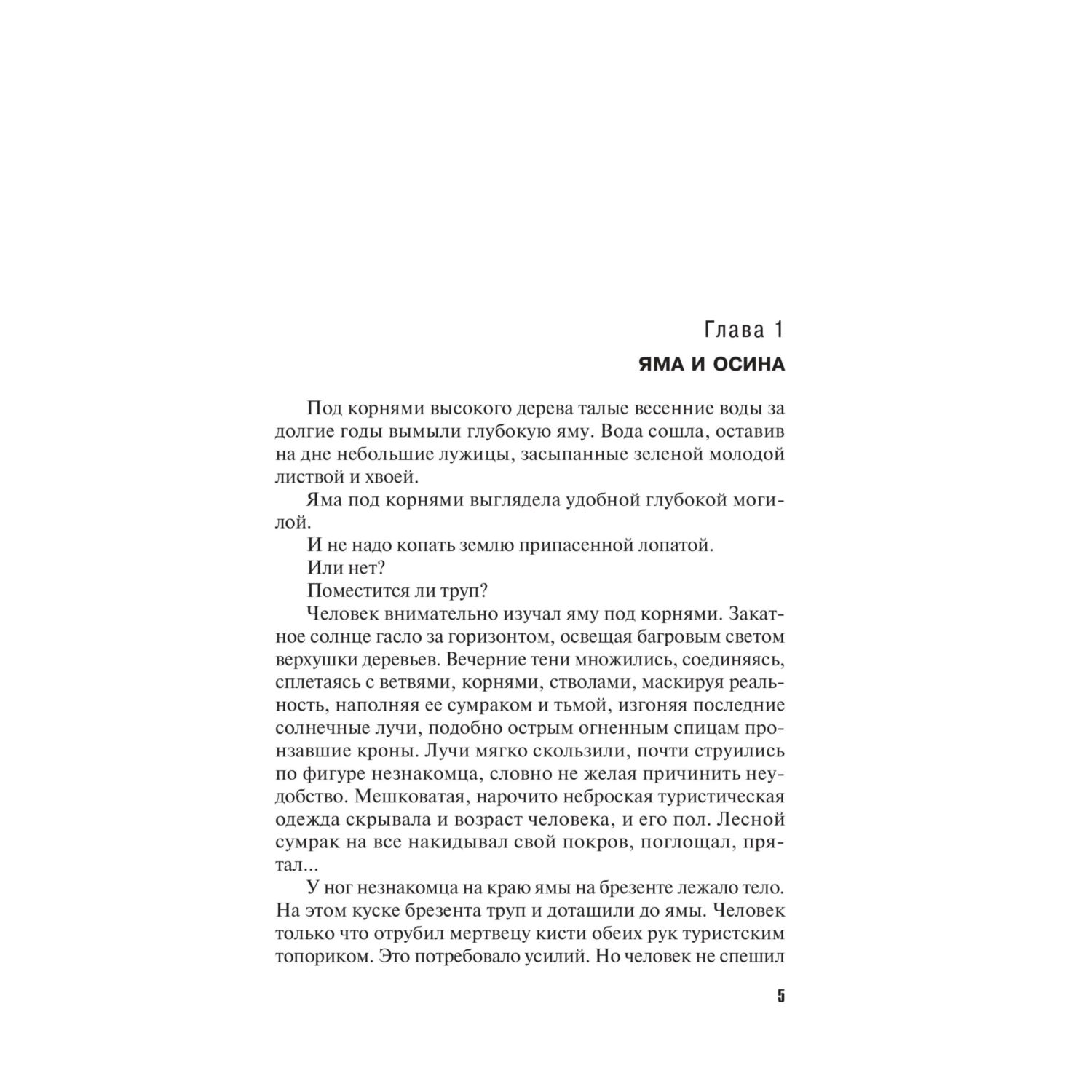 Книга Эксмо Четыре крыла - фото 5