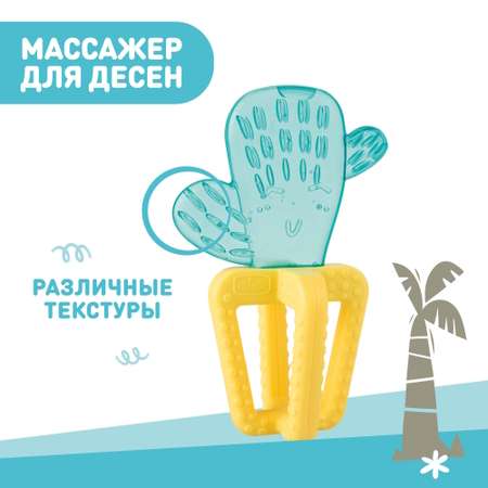 Прорезыватель Chicco Fresh Cactus с 4мес