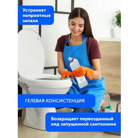 Набор средств для уборки Ph профессиональный Чистый дом 2 туалет кухня окна
