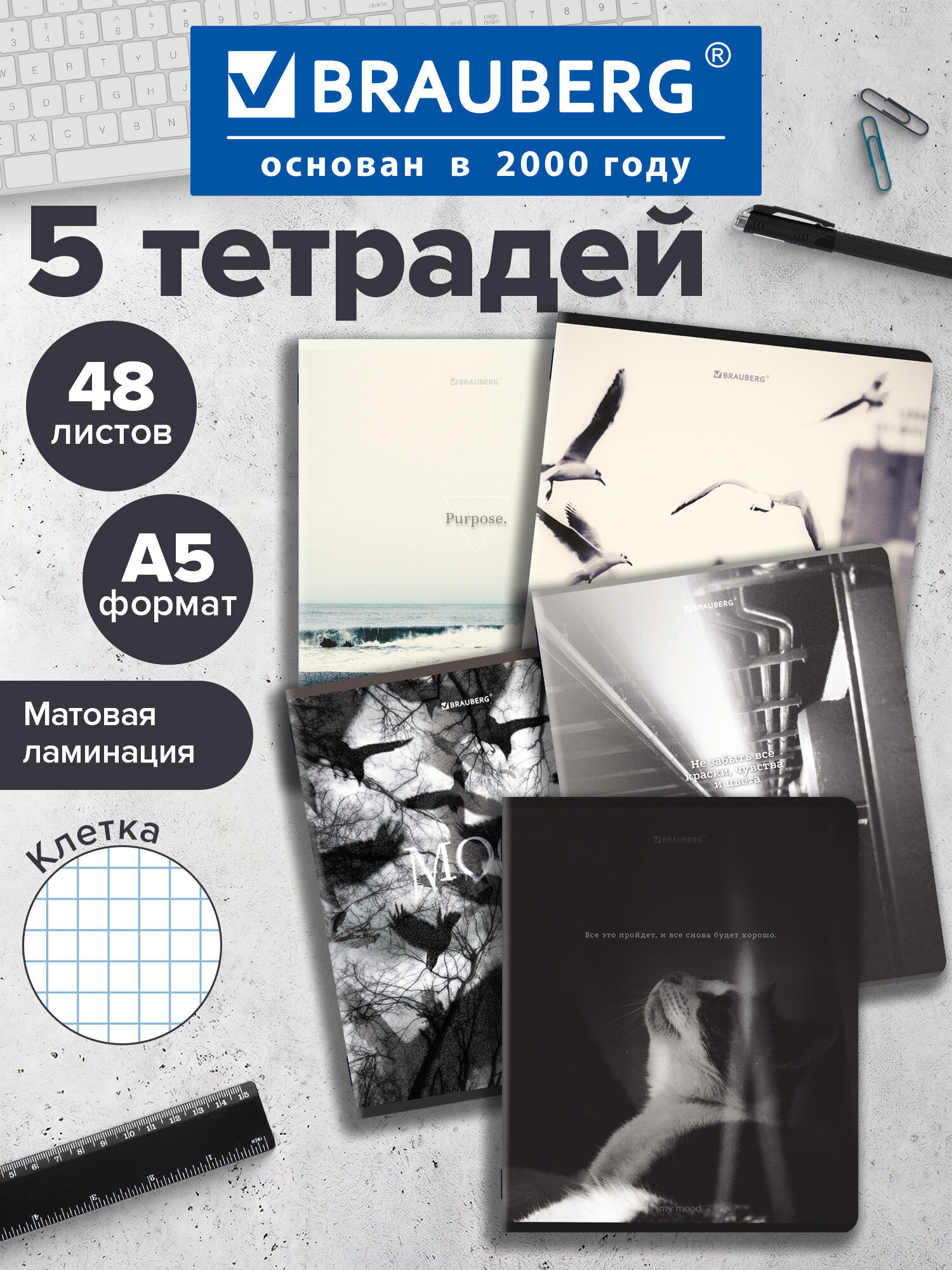 Тетрадь Brauberg клетка 48 лист. 5 шт. - фото 1
