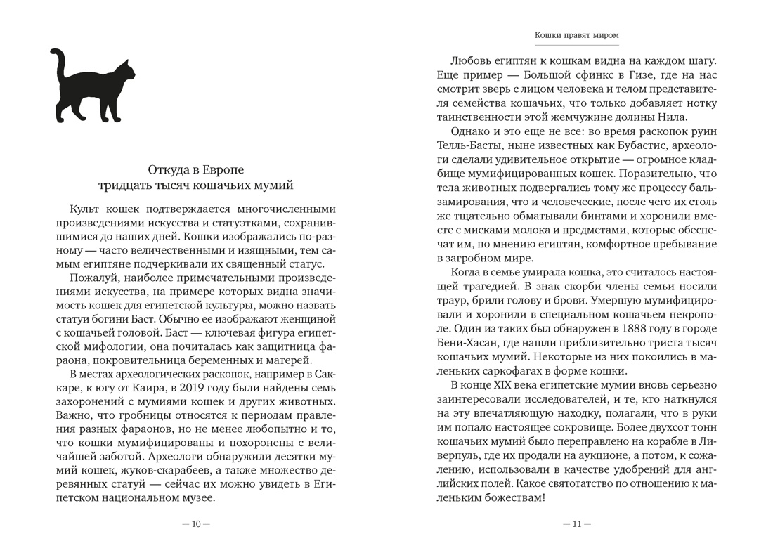 Книга АЗБУКА Диаз Мигель А Педраза Э Кошки правят миром - фото 14