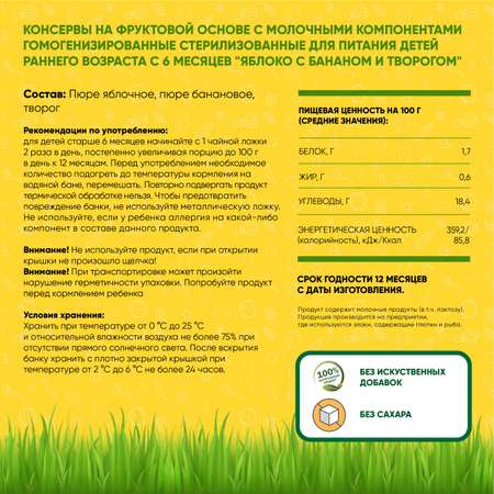 Пюре фруктовое Егор Иваныч Яблоко с бананом и творогом упаковка 6 шт по 100 г