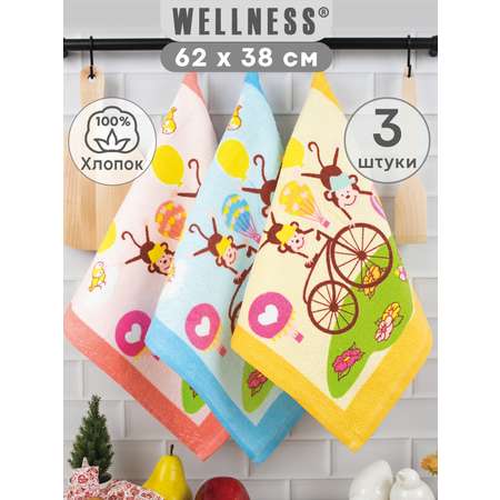 Комплект полотенец кухонных Wellness Монти_D Набор_3