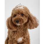 Заколки для собак и кошек Зоозавр