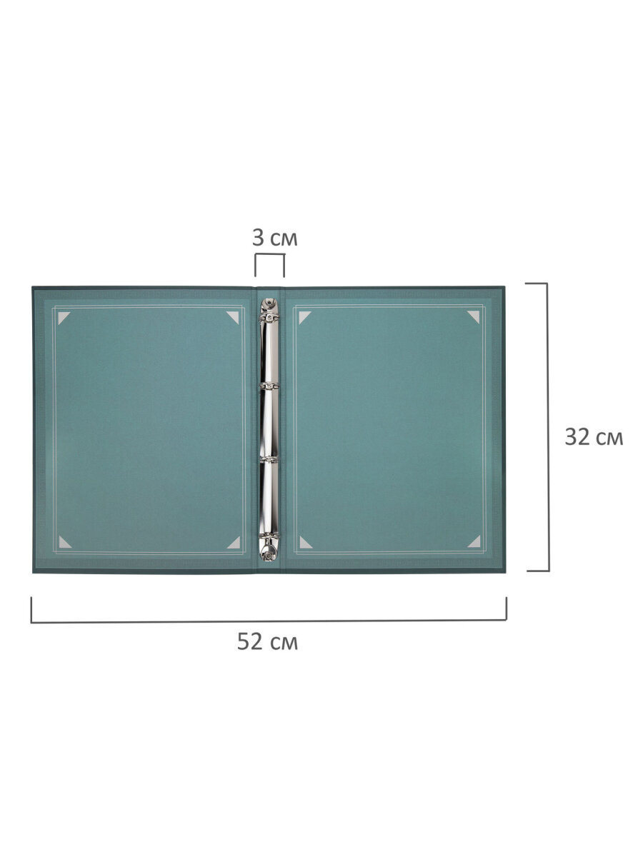 Портфолио школьника Brauberg папка А4 на кольцах 20 файлов для девочки и мальчика - фото 5