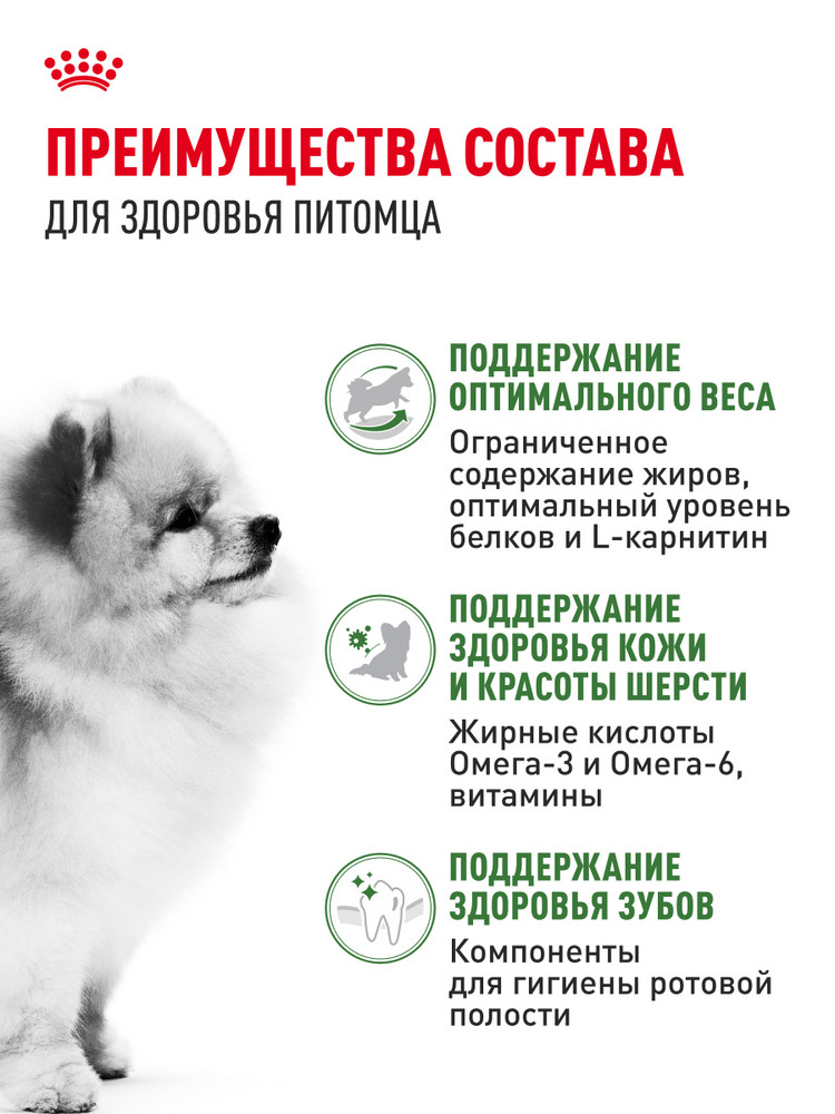 Корм для собак ROYAL CANIN малых пород живущих преимущественно в домашних условиях 500г - фото 3