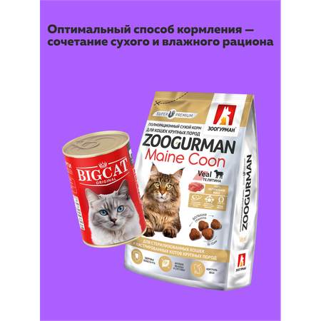 Корм влажный Зоогурман Big Cat Мясное ассорти 350 гр х 6 шт