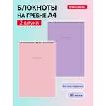 Записная книжка Brauberg минимализм - пастель 80 лист.