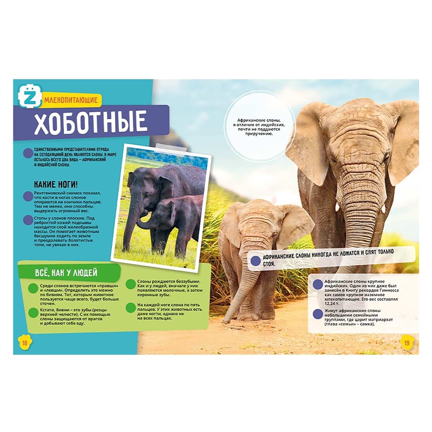 Набор энциклопедий KidZlab В дополненной реальности Динозавры Мировой океан Животные Солнечная система Насекомые - фото 12
