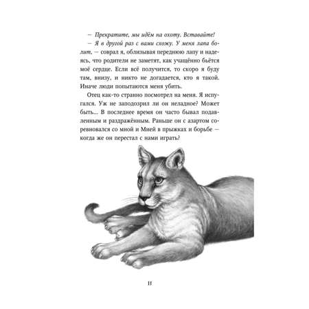 Книга Эксмо Тайна Холли 3