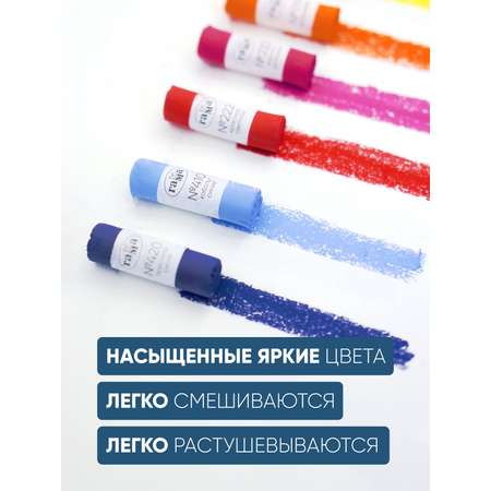 Пастель художественная сухая Гаммa 12 шт.