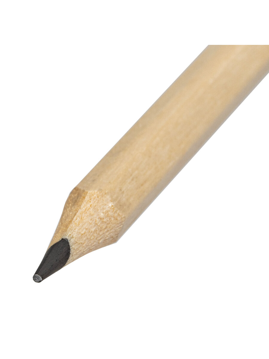 Карандаши чернографитные Пифагор 12 шт. - фото 9