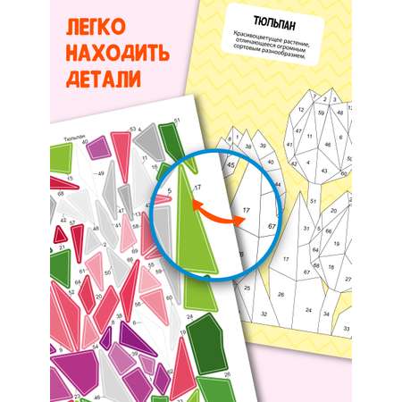 Раскраска Проф-Пресс наклейками по номерам. 4 картинки. А4. Цветы