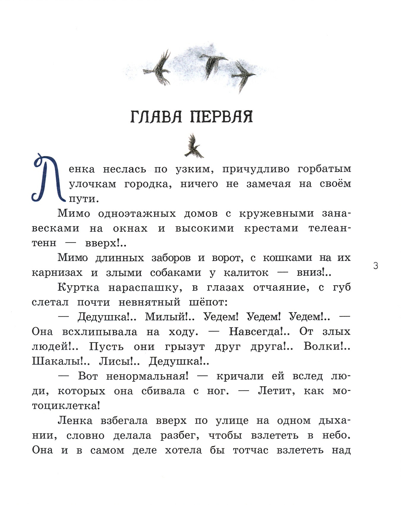 Книга Лабиринт Чучело - фото 5