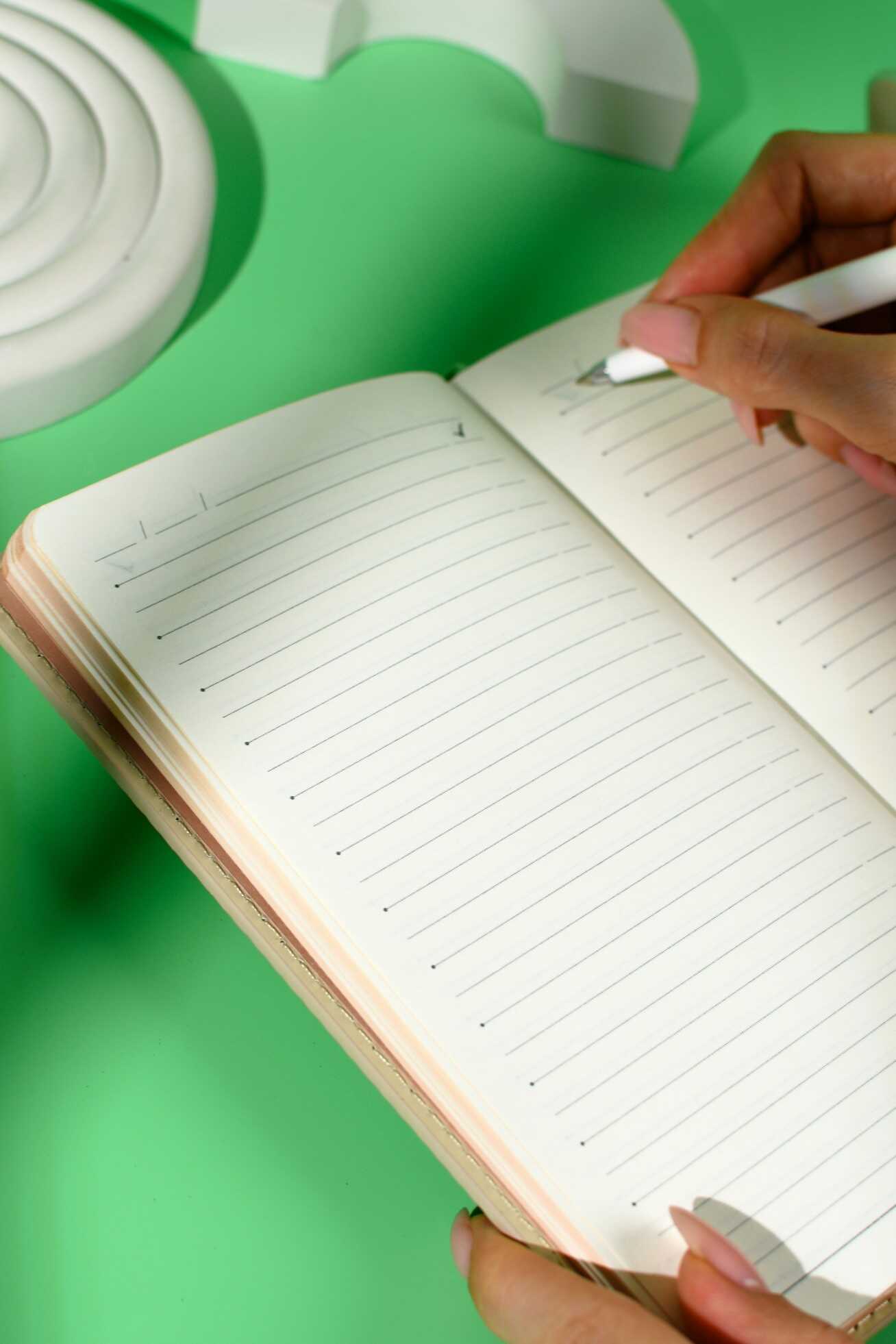 Ежедневник Феникс + ESCALADA 120 лист. - фото 15