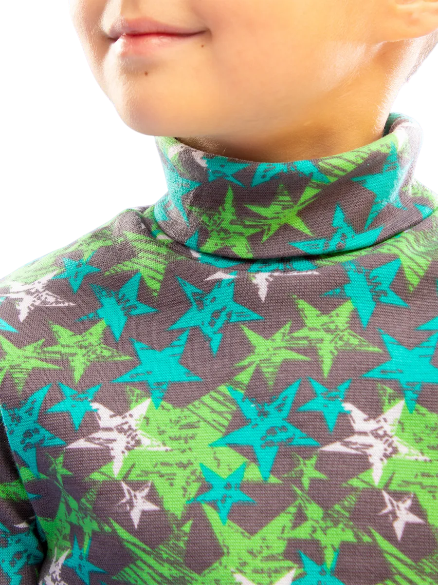 Водолазка TOTEMFOX 231РНАБ2(2)F/салатовые звезды - фото 4