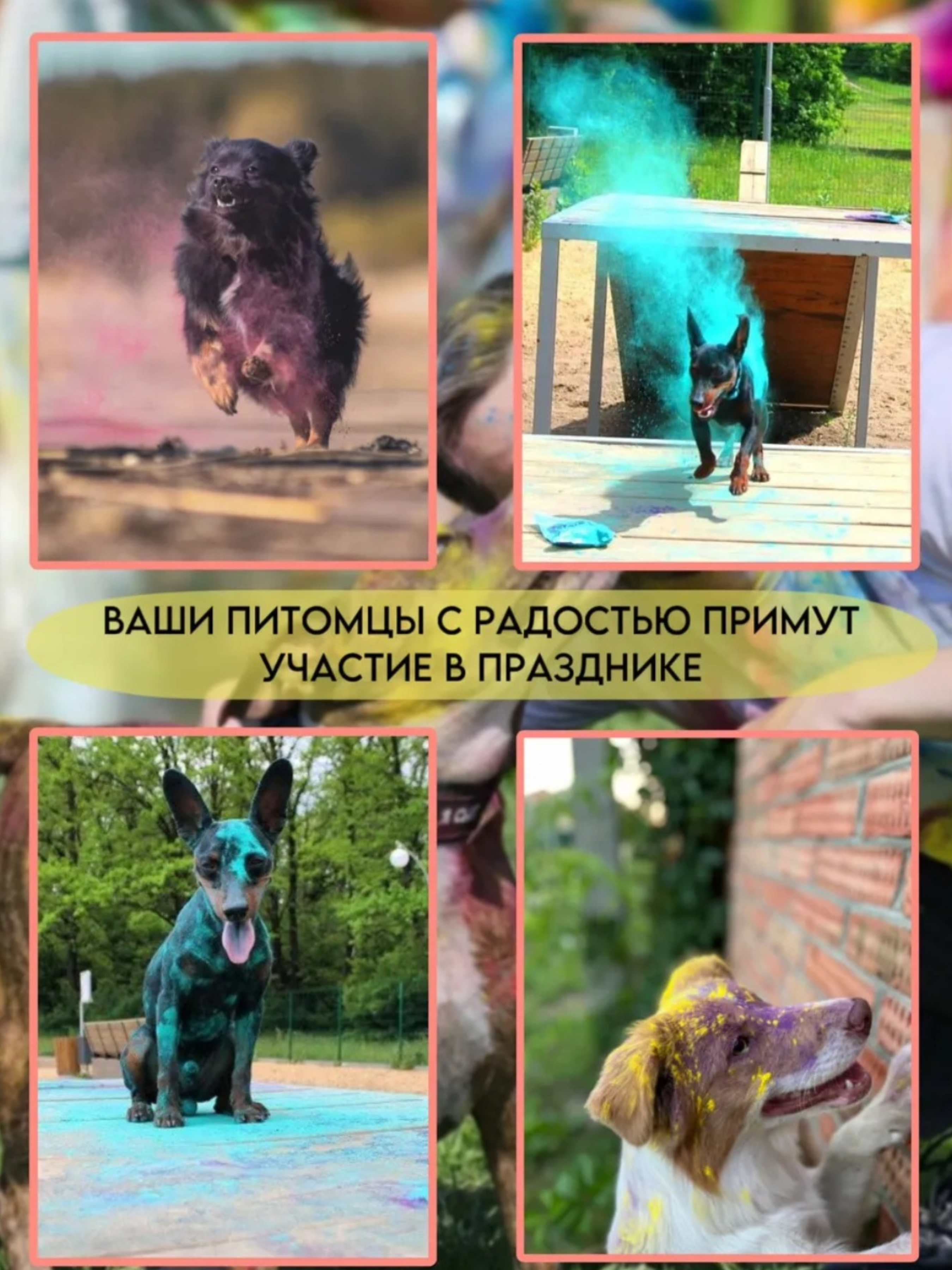 Аквагрим Holi Like Холи фестивальные краски 1 цв. - фото 6