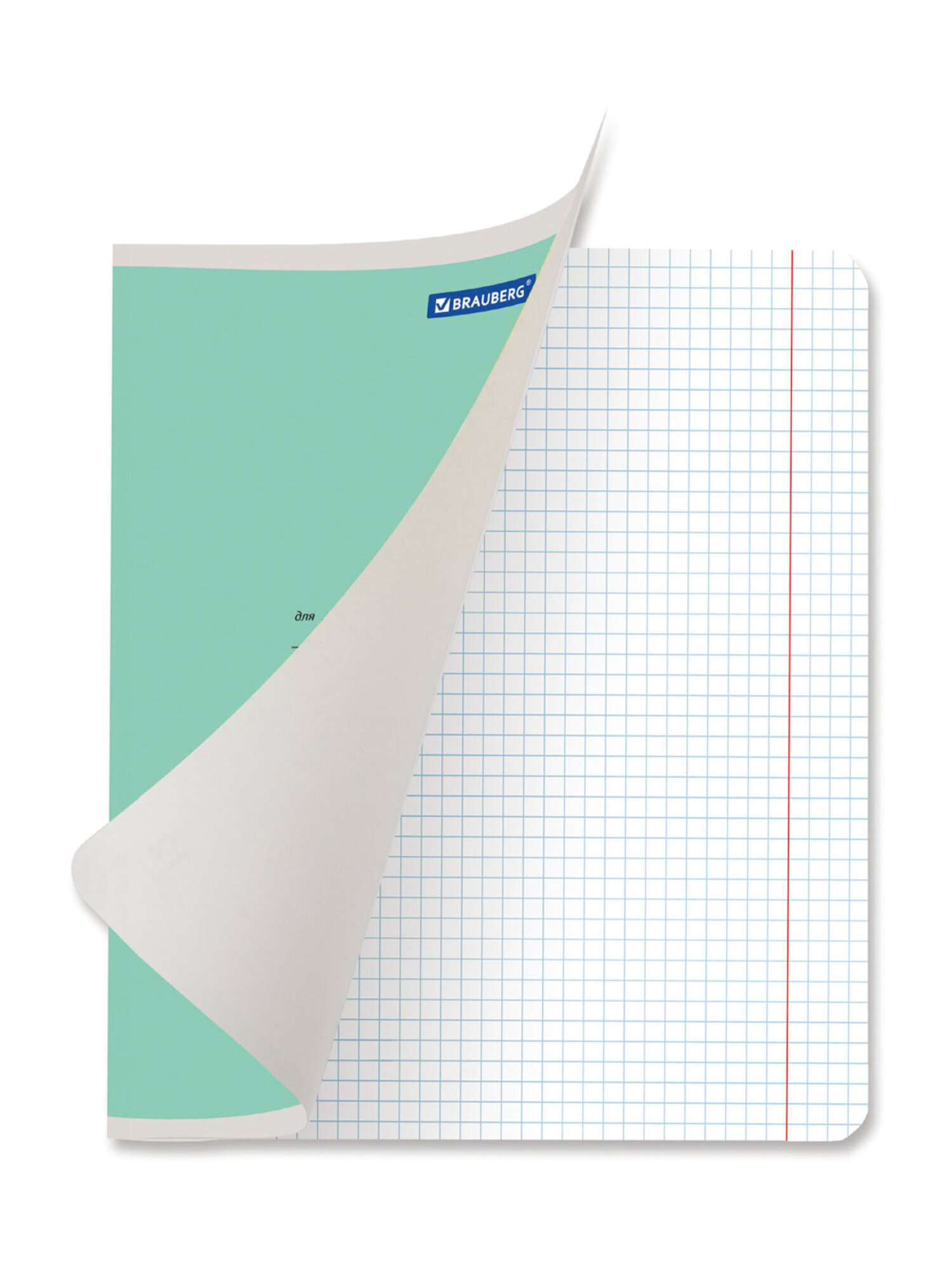 Тетрадь Brauberg клетка 12 лист. 20 шт. - фото 7